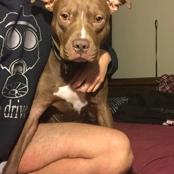 Meet your Posher, El - Picture 4 of 5